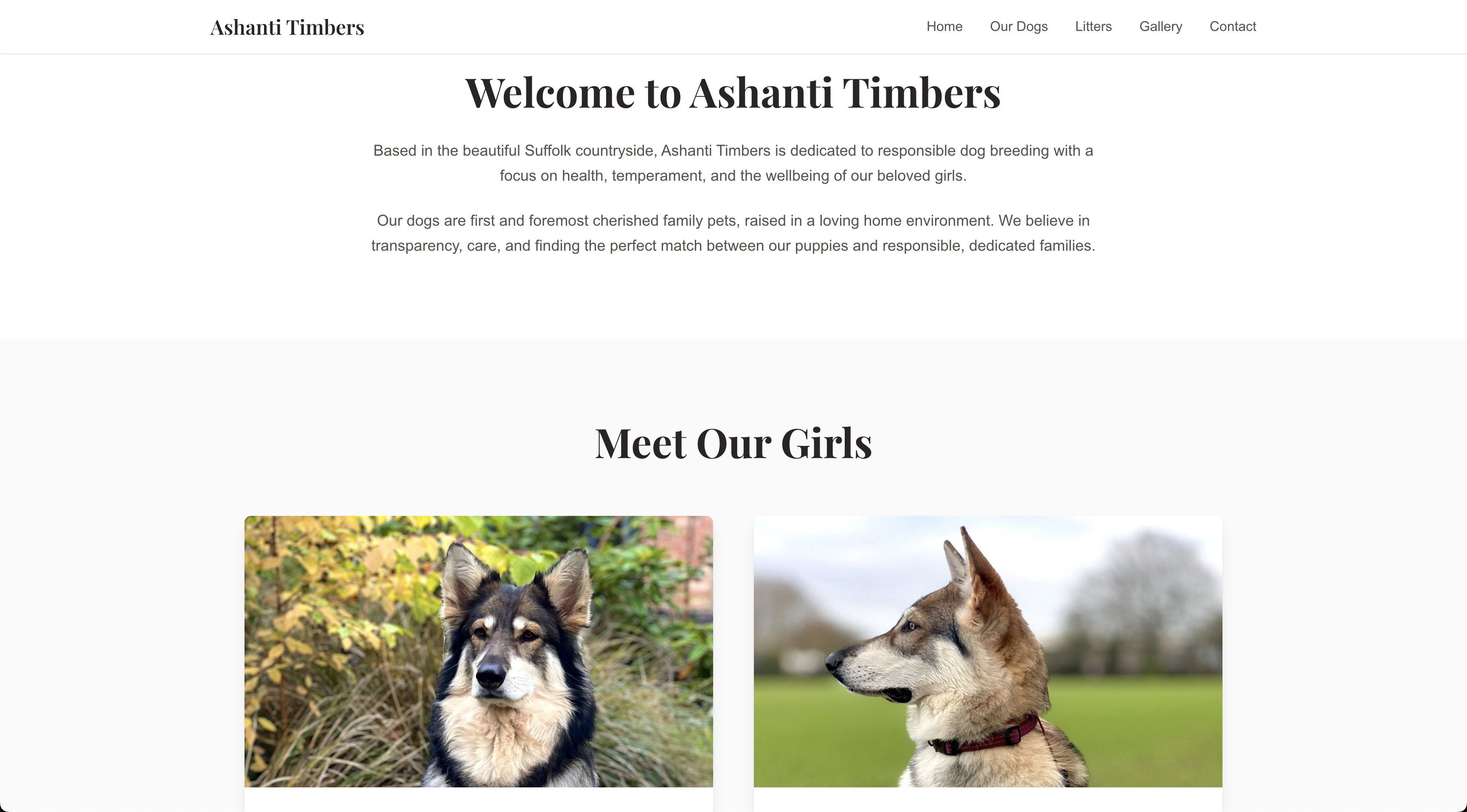 Ashanti Timber Dogs Website